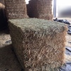 250mt Wheaten Hay 725kg approx. 8x4x4 Bales