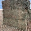 New Season Wheaten Hay + Freight