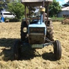 Under Auction - Ford 3000 Tractor - 2% + GST Buyers Premium On All Lots 