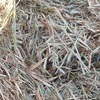 200mt Oaten Hay 8x4x3 Bales