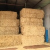 Wheat straw Gilgandra nsw