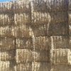 Wheaten Hay 8x4x3 - 40 x  625 KG Approx Bales Stacked 6 High  