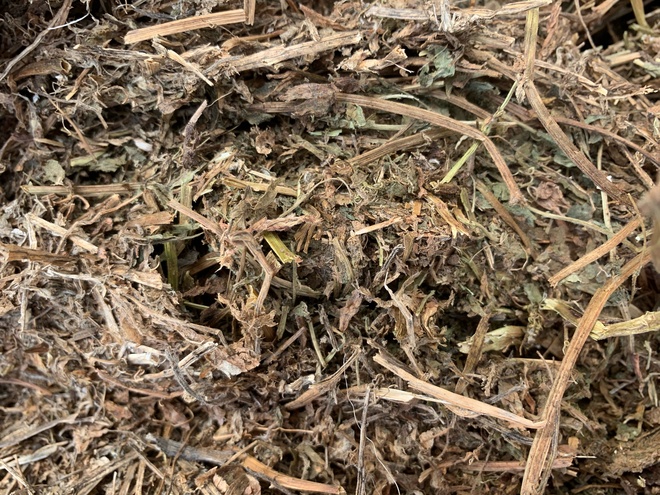 Vetch Hay 8x4x3 Paddock Stacked Sold with No Tops!