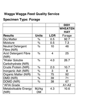 Wheaten Hay 700kg 8x4x3 Bales + Freight