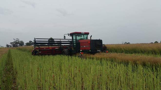 Case 1701 with 30ft draper