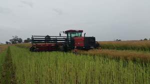 Case 1701 with 30ft draper