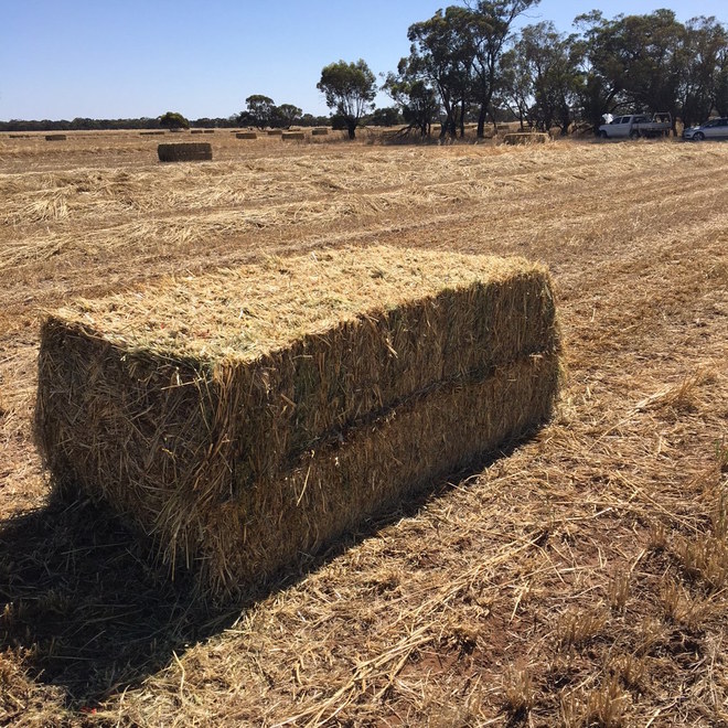 **Price Reduced** BB960 8x4x3 Big Square Baler 