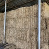 Oaten Hay 8x4x3 Bales