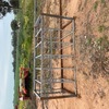Calf Management Feedlot