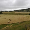 140 x Pasture Hay 5x4 Rolls