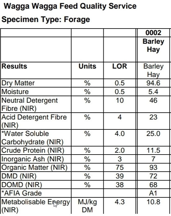 Barley Hay 610kg 8x4x3 Bales (Quality Barley Hay)