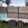 Pine Firewood 