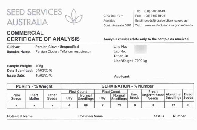 Shaftal Clover Seed For Sale