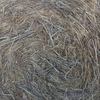 Ryegrass Hay
