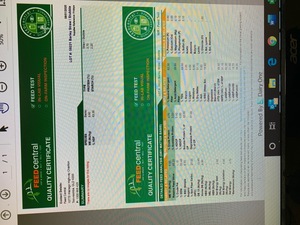 Barley Straw Hay - Approx 40MT