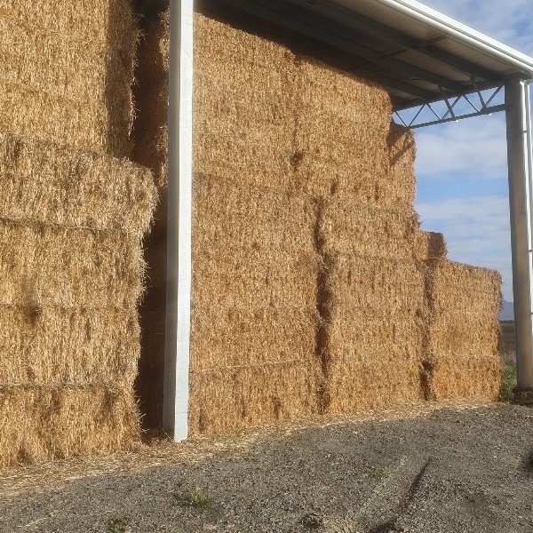 200mt Oaten Hay 8x4x3 Bales