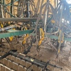 40ft Simplicity Seeder