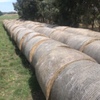 Pasture Hay