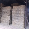 35mt Vetch Hay 600-650kg 8x4x3 Bales