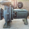 Thompson Kelly & Lewis Pump