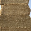 Barley Straw