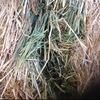 Barley & Vetch Hay