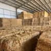 Oaten hay