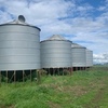 50t (Wheat) Silo