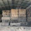 EOI for 70' x 200' Shed For Sale