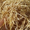700 7.6ME Barley Straw 540kg 8x4x3HD Bales