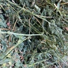 Lucerne Hay 4x4 & 5x4 Round Bales (New Season)