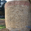 200 Pasture Hay 4x4 Round Bales