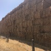200mt Oat/Rye/Clover Hay 8x4x3 Bales