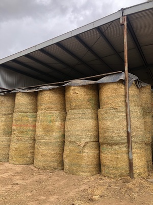 90 x Oaten Hay Round Bales