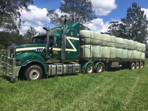 Barley Silage 4x4 Rounds New Season Hay Haylage excellent quality