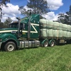 Barley Silage 4x4 Rounds New Season Hay Haylage excellent quality