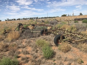 (A134) - Shearer Cultivator