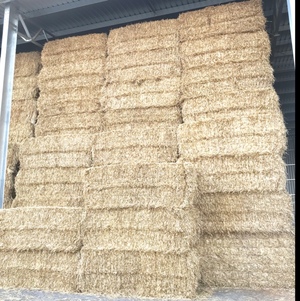 Barley Straw