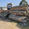 Treated Pine Posts - 5-6