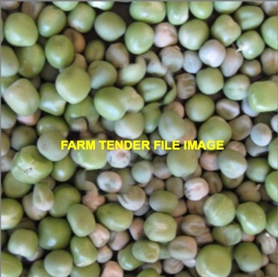 Wanted 6 m/t of Hayman Peas for Seed