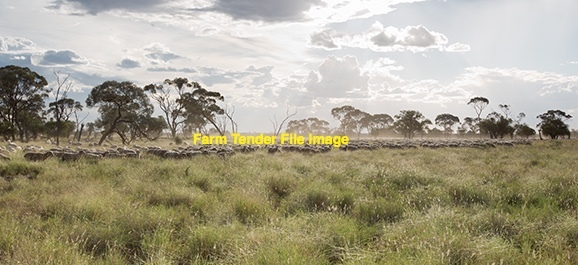 Country to Lease  up to 100 km Bendigo