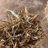 Single Load of Pea Straw