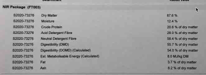 1000m/t Shedded Vetch Hay Seller to Freight