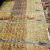 Wheat hay