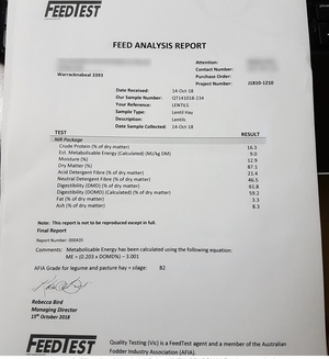 100+mt Lentil Hay 8x4x3 Bales ##NEW SEASON## Feed test attached.