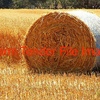 2019 Wheaten Hay 5x4 Rounds x 80 bales