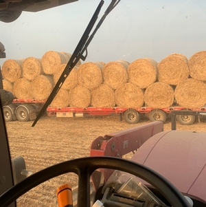 Oaten Hay 5x4 Rolls