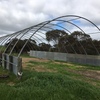 Eco shelter frame