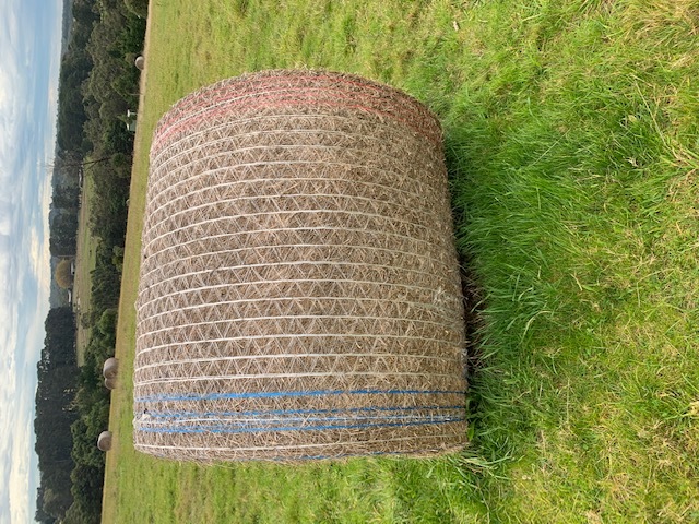 38 X 4ft Round Pasture Bales