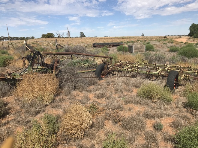 (A134) - Shearer Cultivator